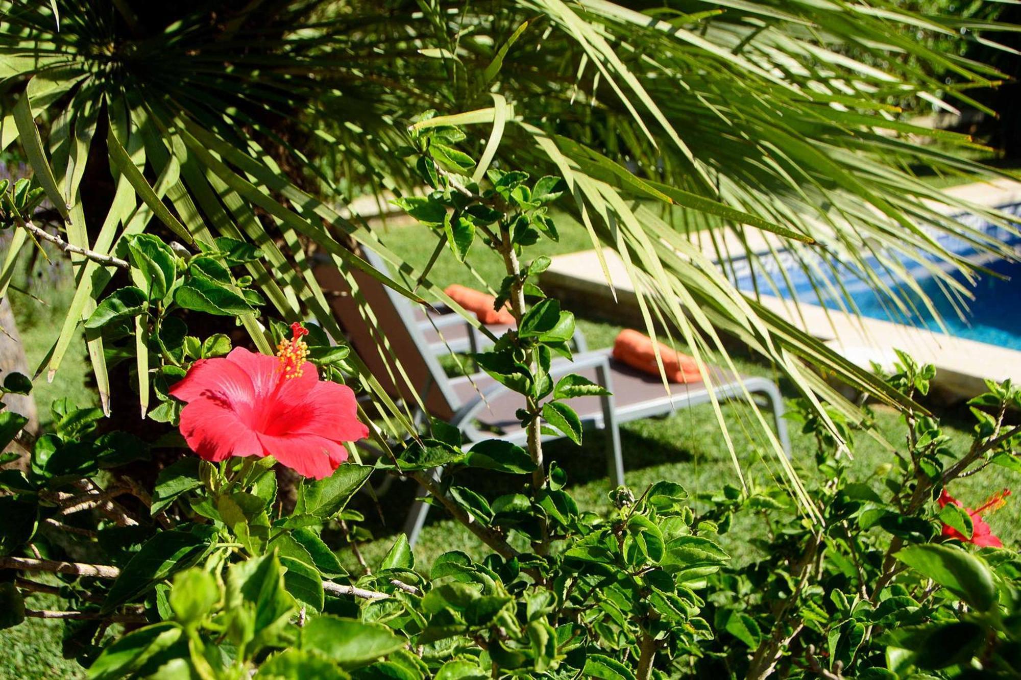 Tintorer Villa Port de Pollença